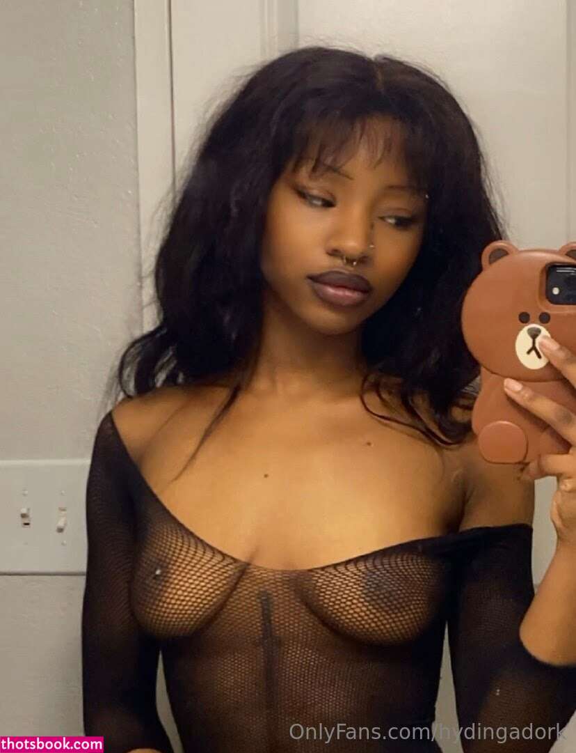 Hydingadork Photo #24