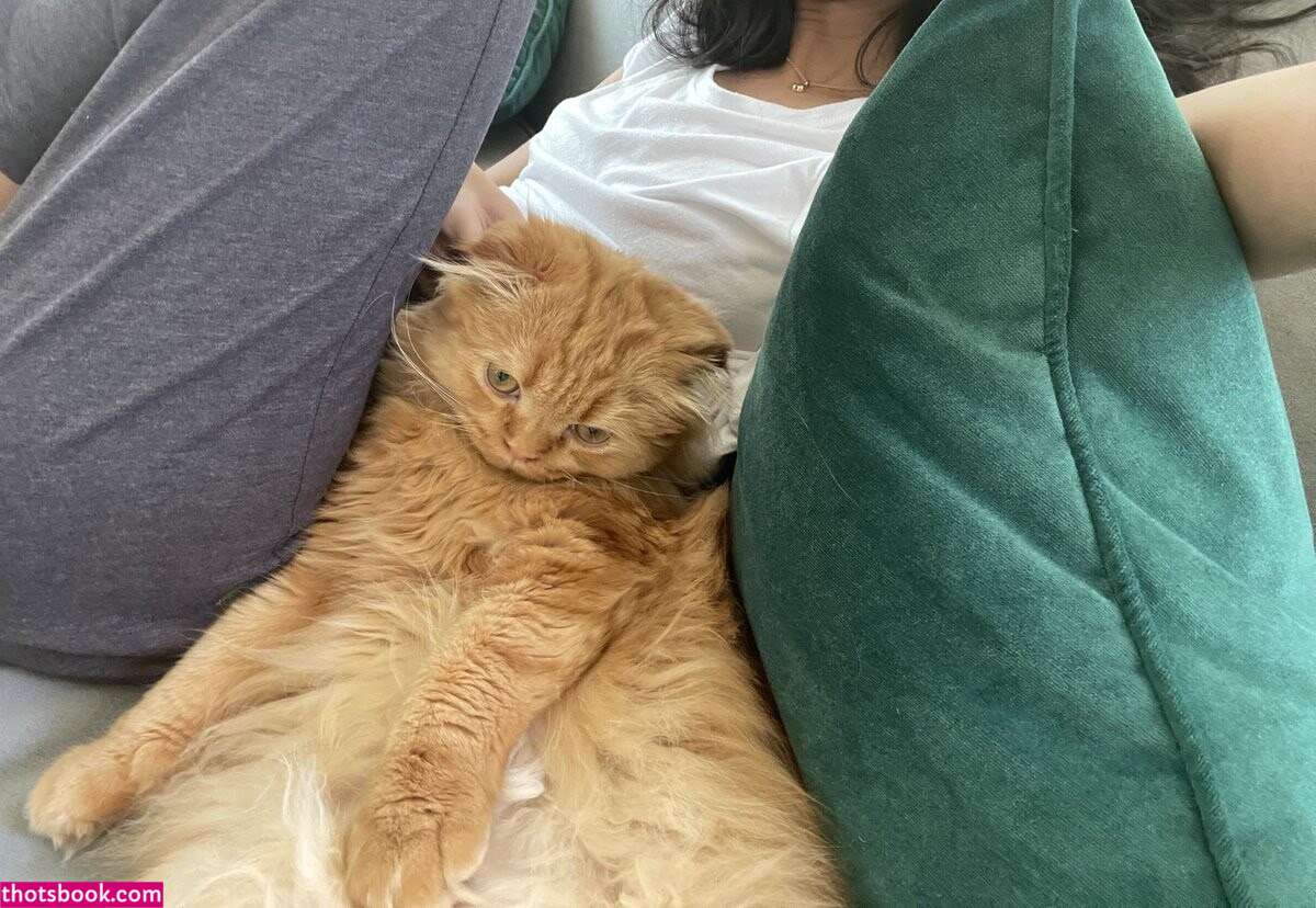 Validashun Photo #19