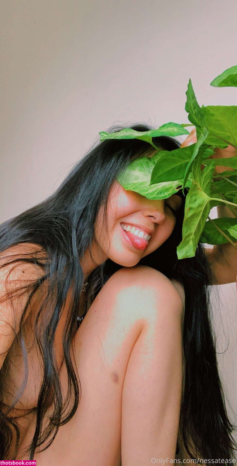 Nessatease Photo #19