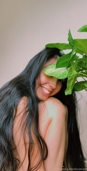 Nessatease Photo #20