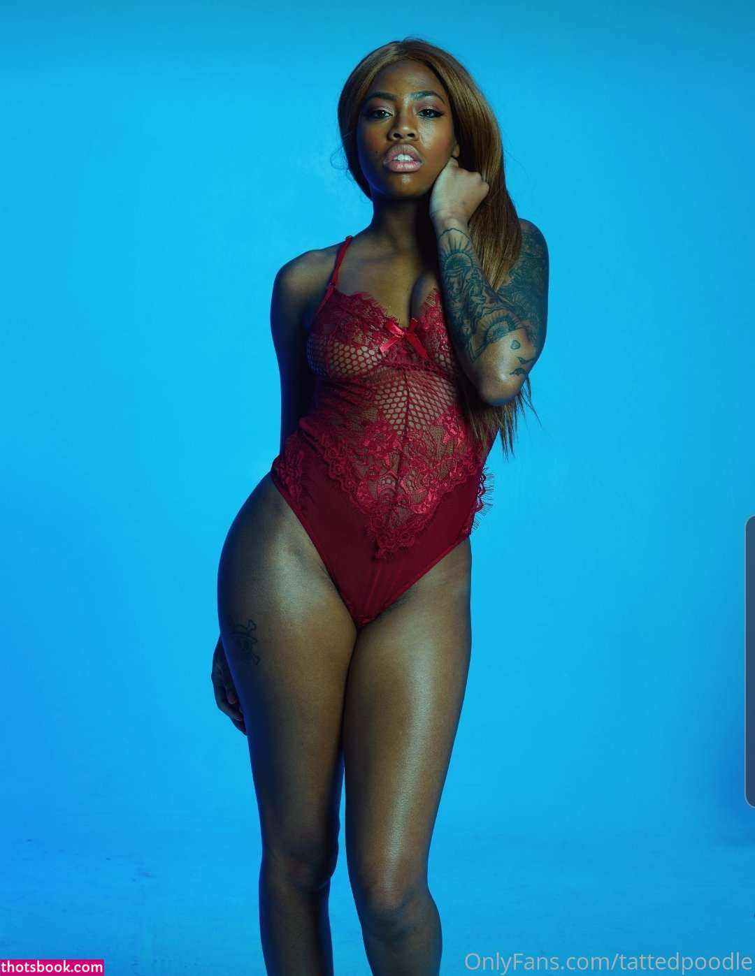 Tattedpoodle Photo #36