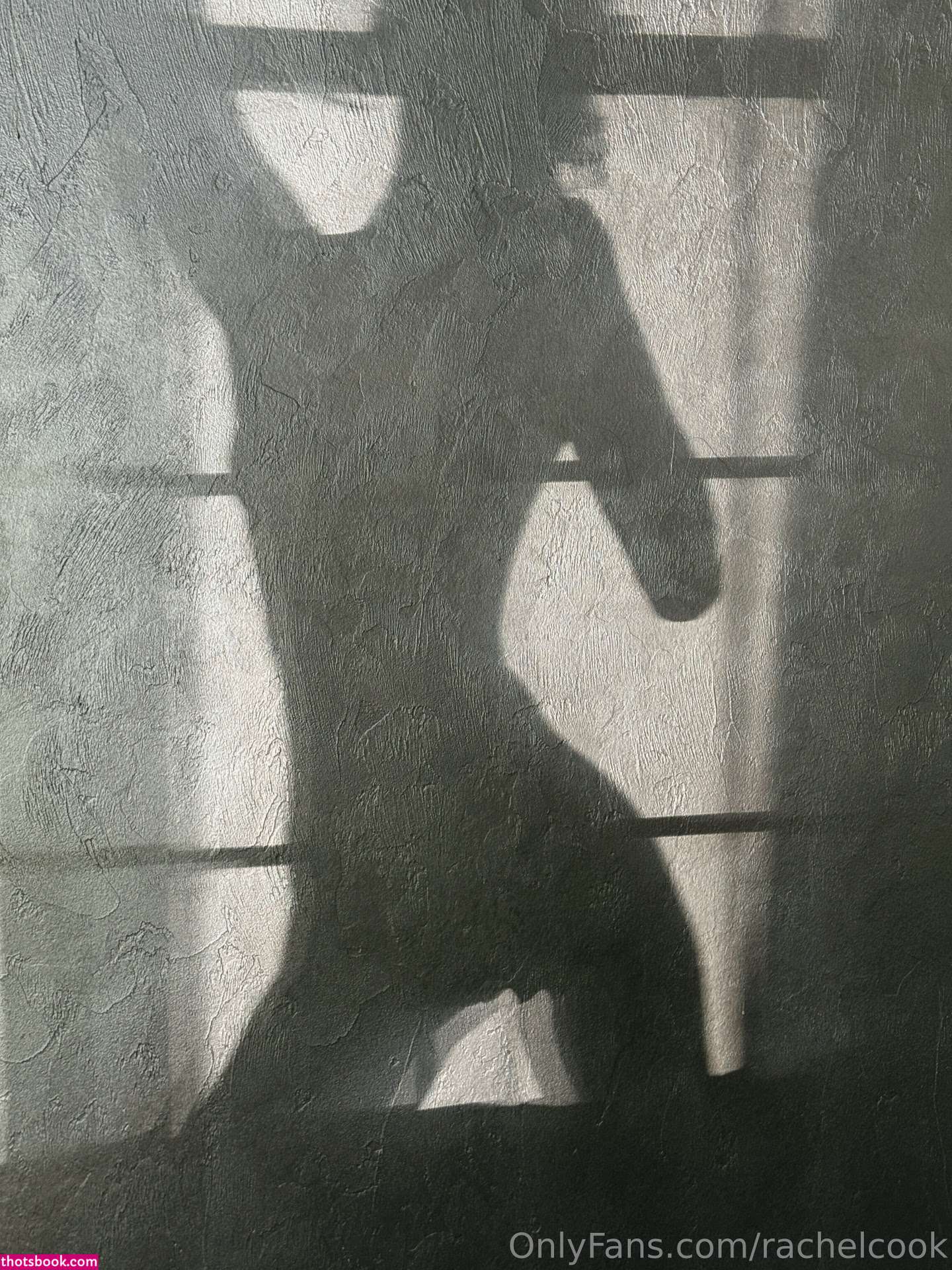 Rachel Cook Photo #1684