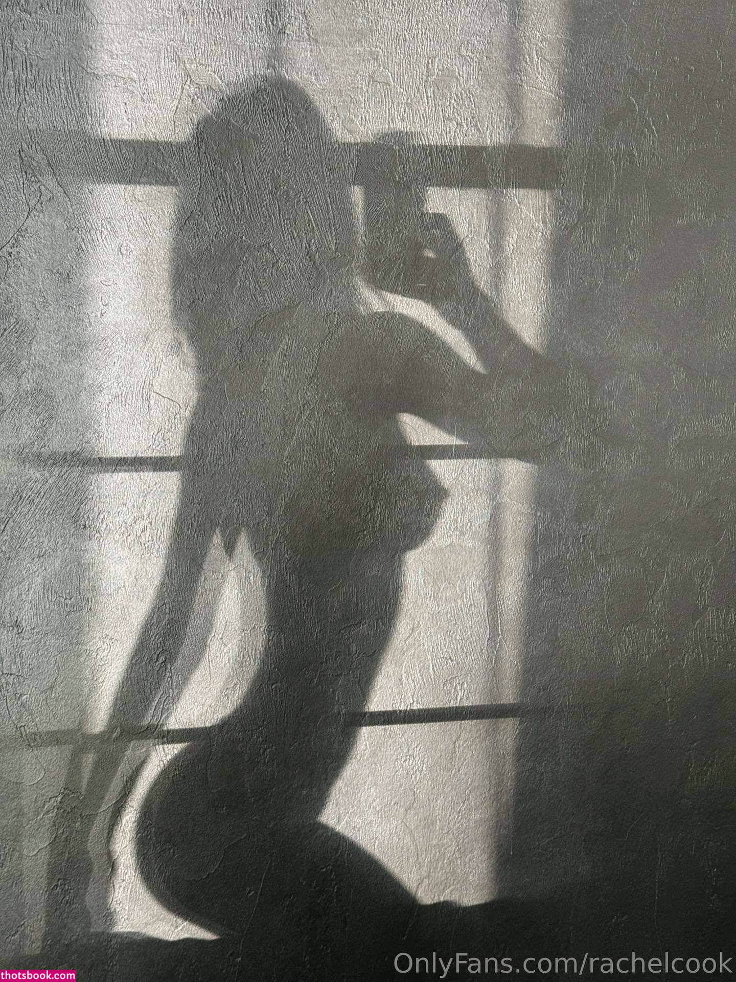 Rachel Cook Photo #1699