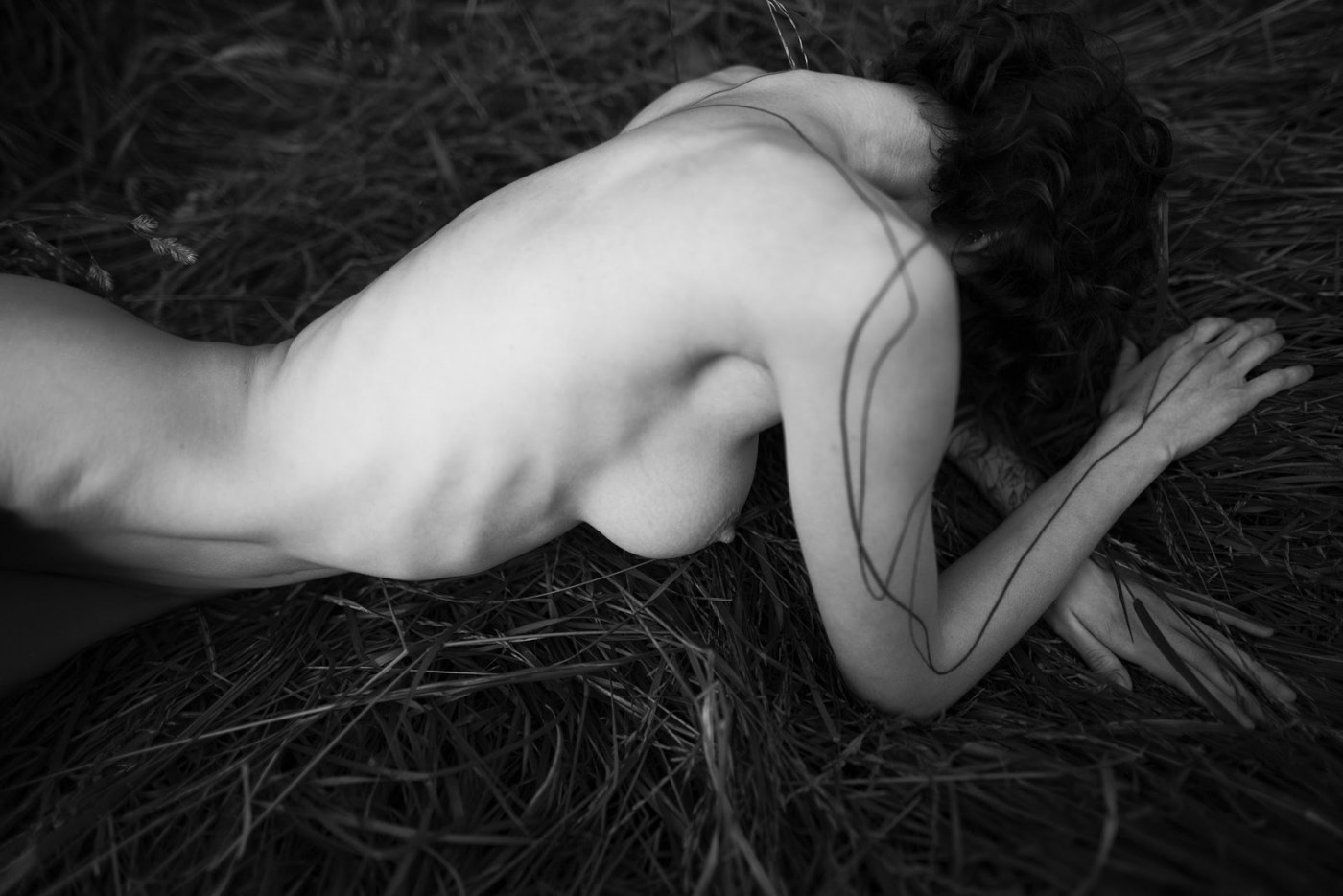 Vialentina Photo #135