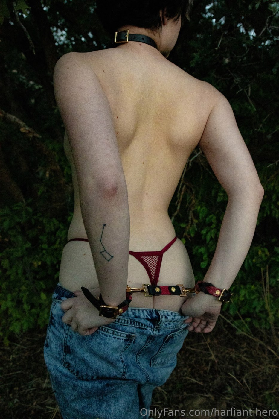 Harliantihero Photo #187