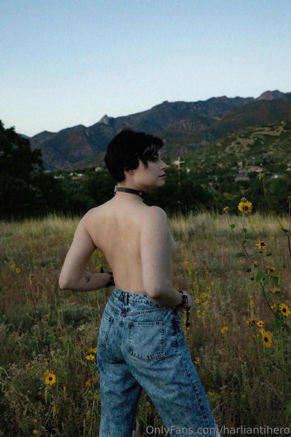 Harliantihero Photo #188