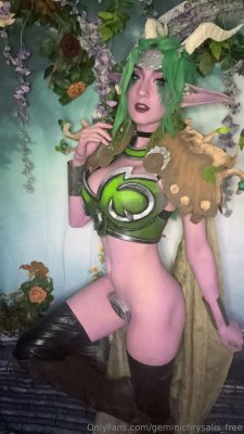 Gemini Chrysalis Photo #416