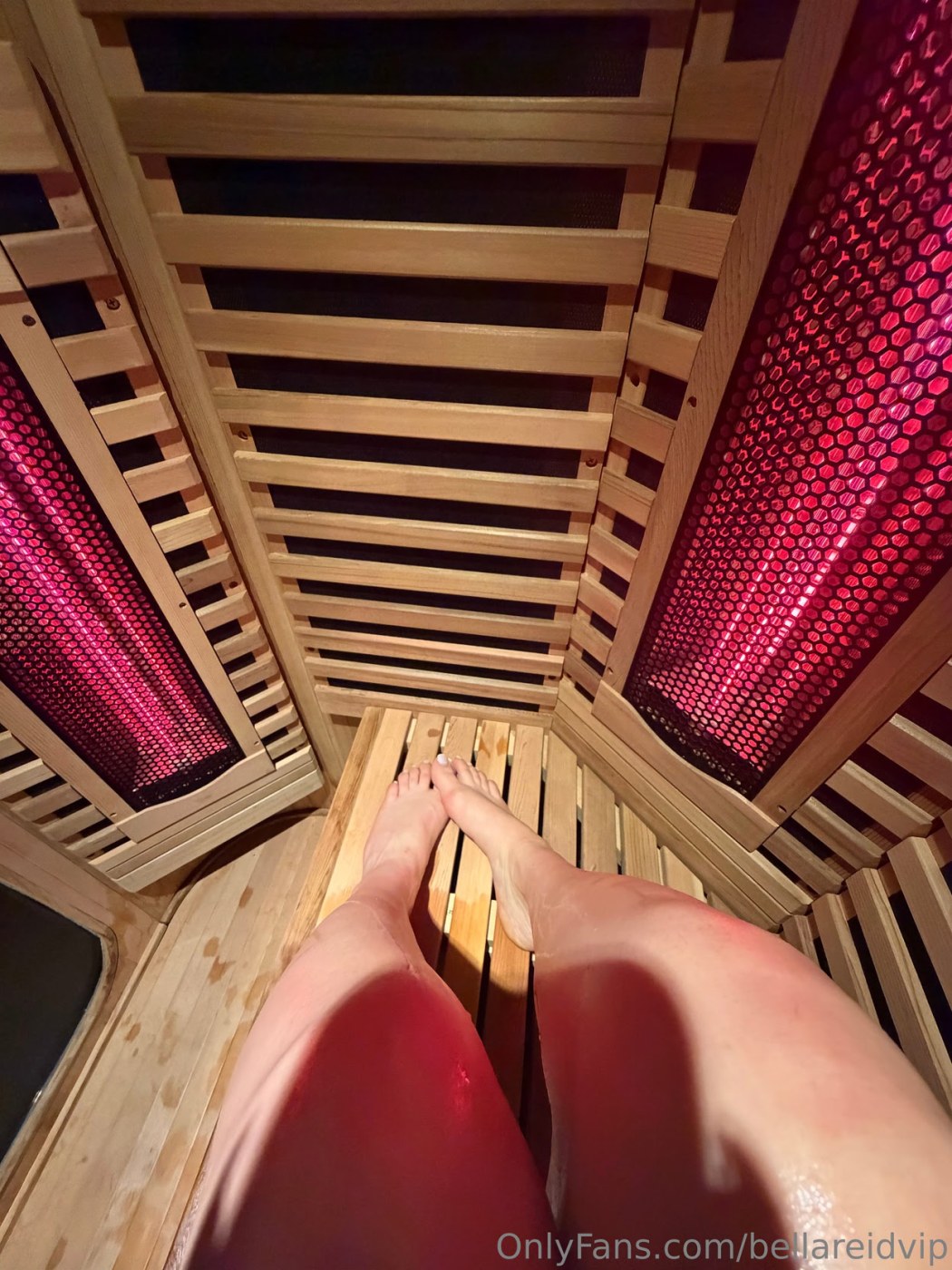 thebellareid Photo #106