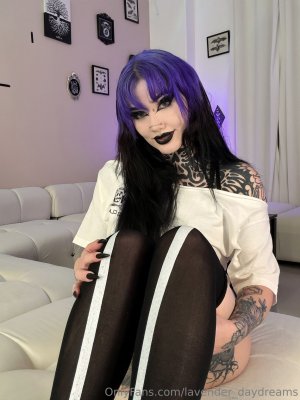 Lavender Daydream Photo #201