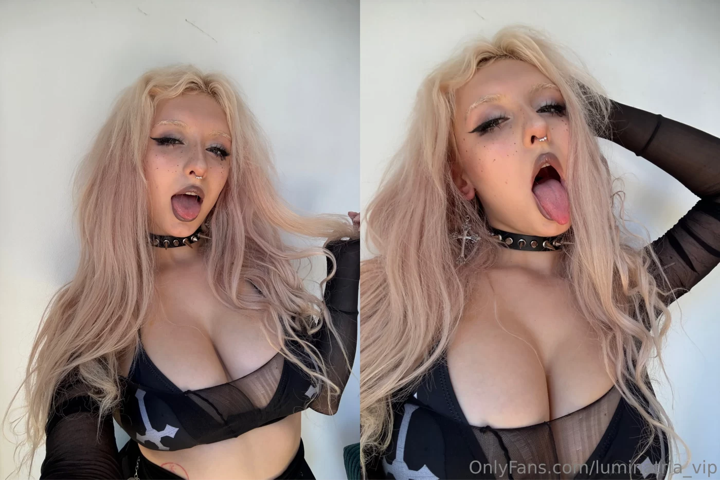 Luminatria Photo #81