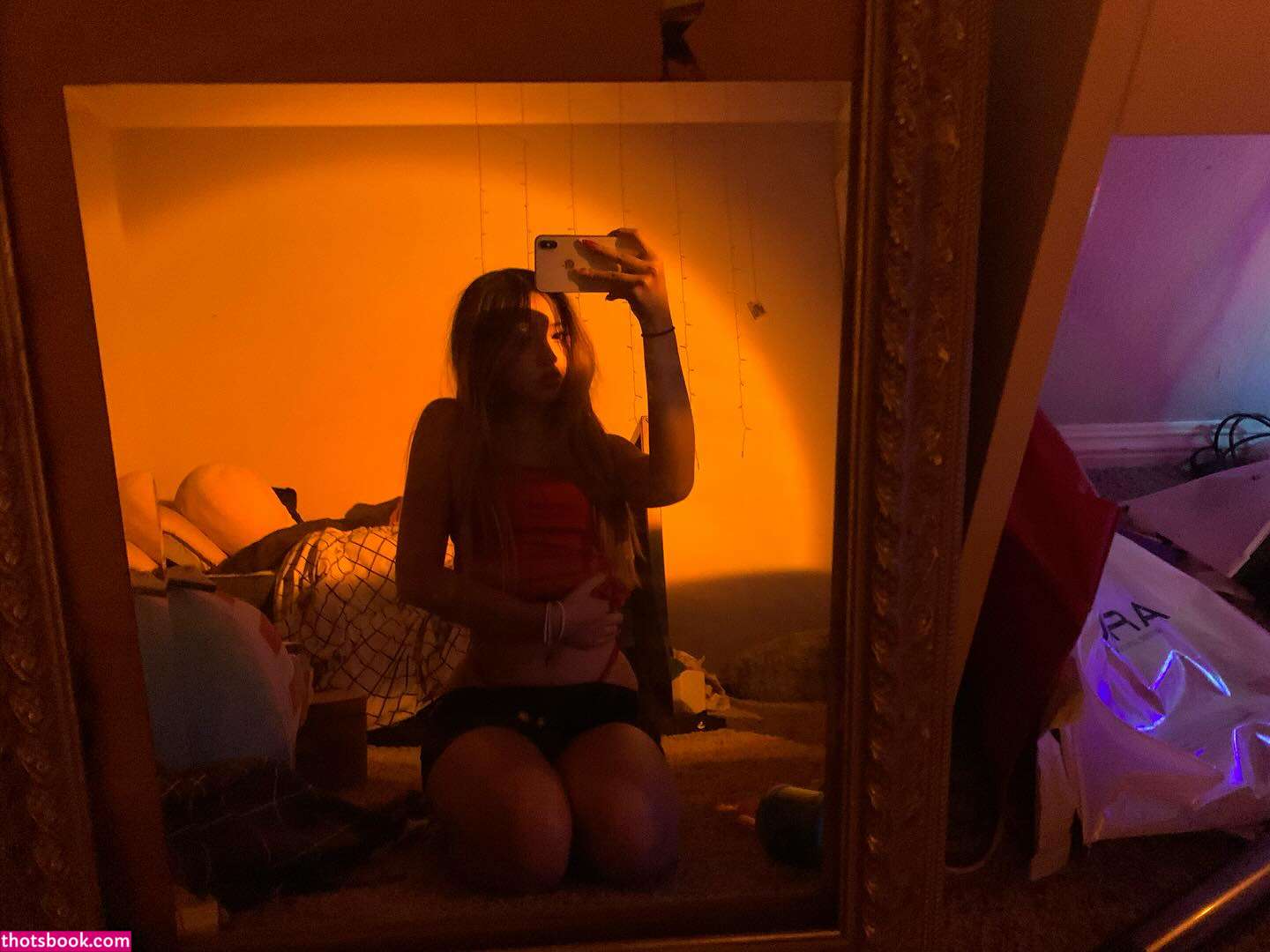 Creator Photo #1941806