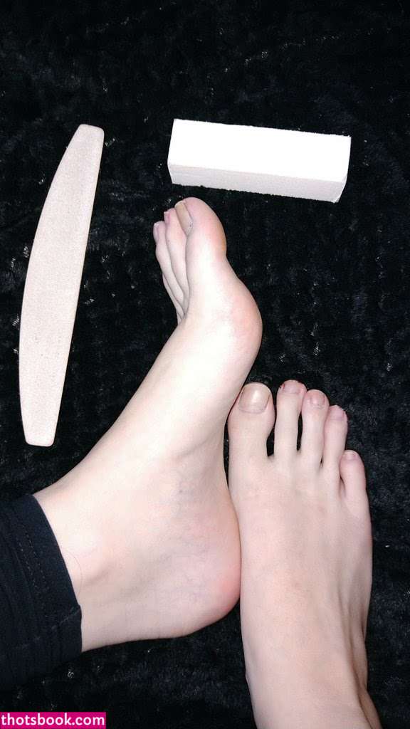 Creator Photo #1942026