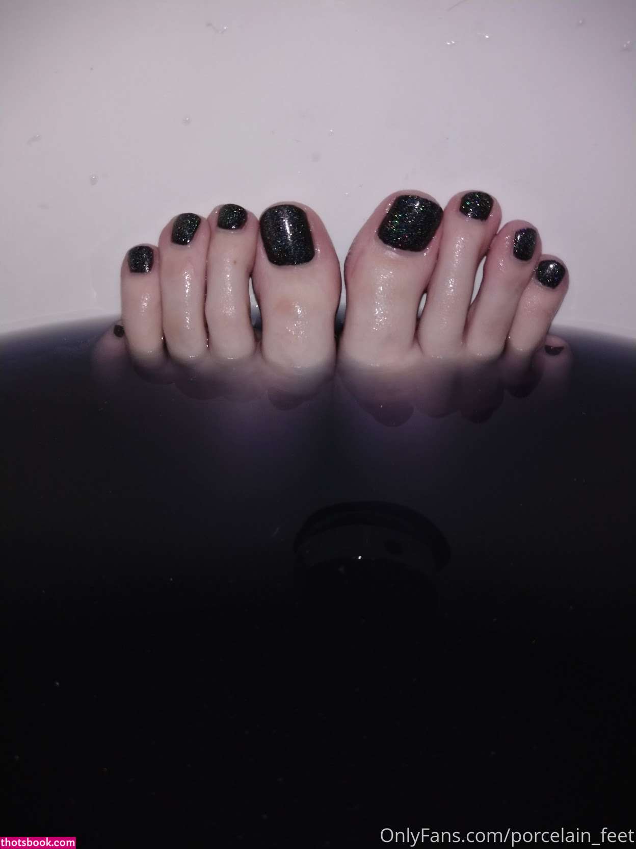 Creator Photo #1942028