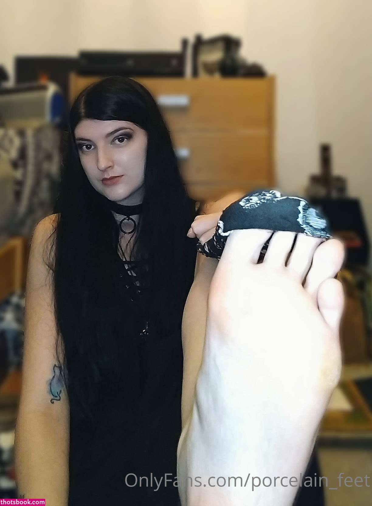 Creator Photo #1942035