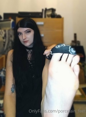 Creator Photo #1942035