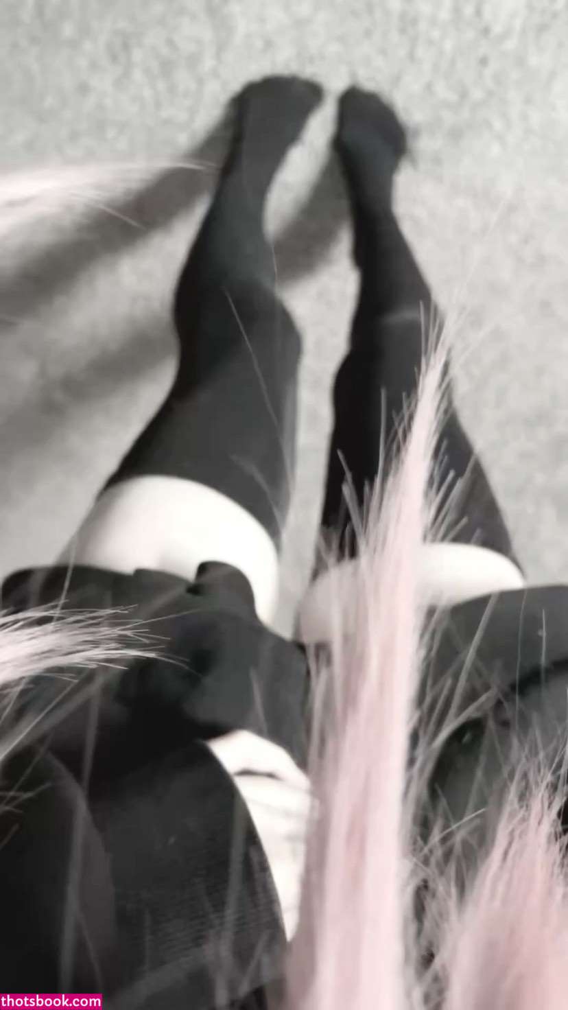 Creator Photo #1942105