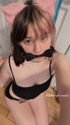 Angel Puppy Photo #5