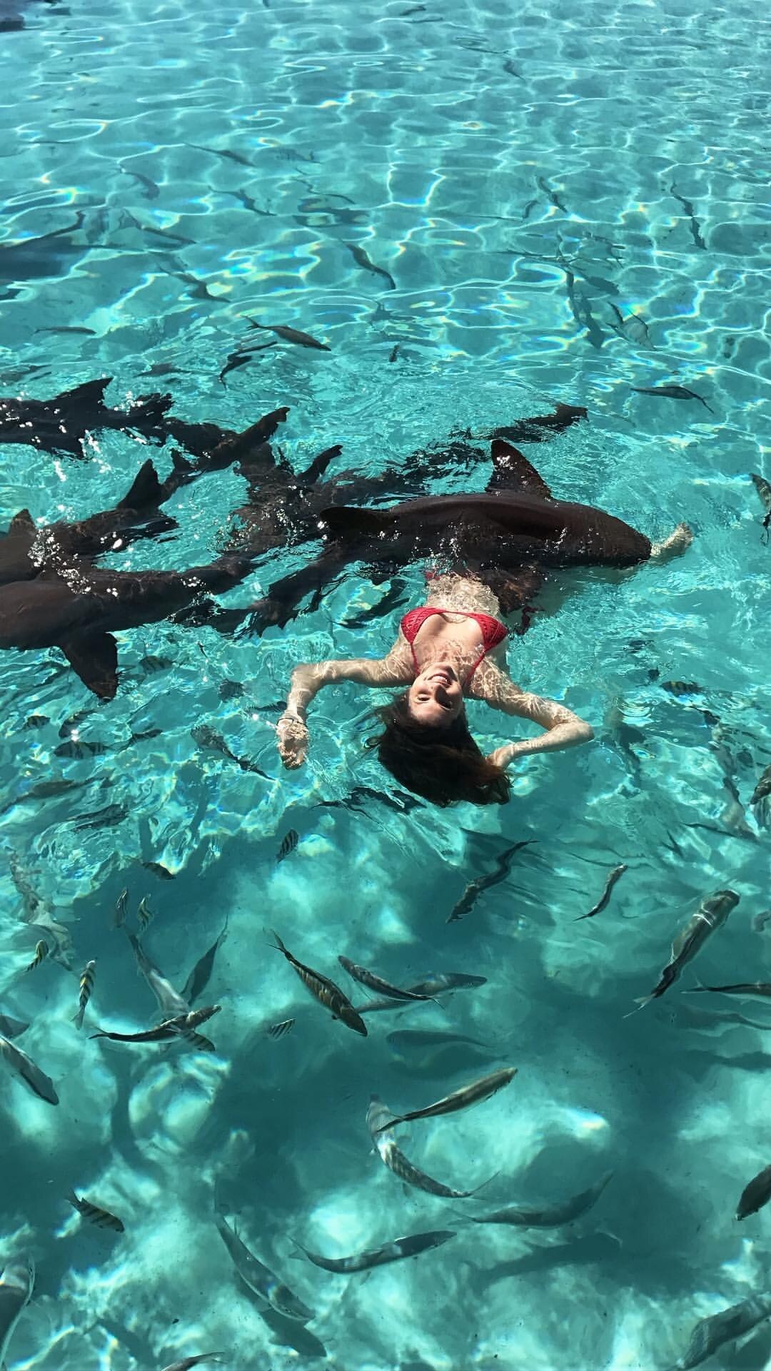 Amanda Cerny Photo #97