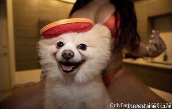 Violetgotcake Photo #16