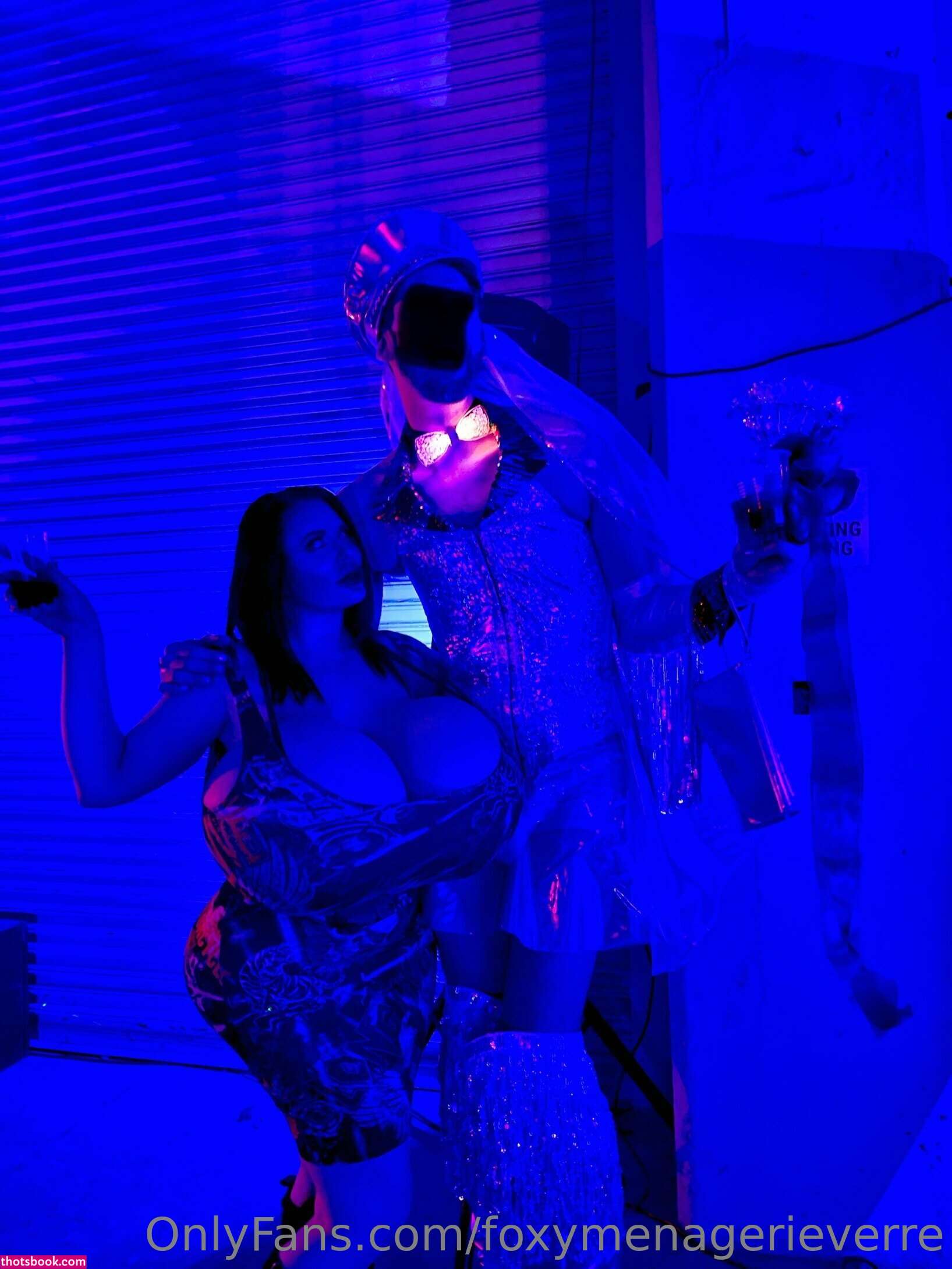 Foxy Menagerie Verre Photo #3