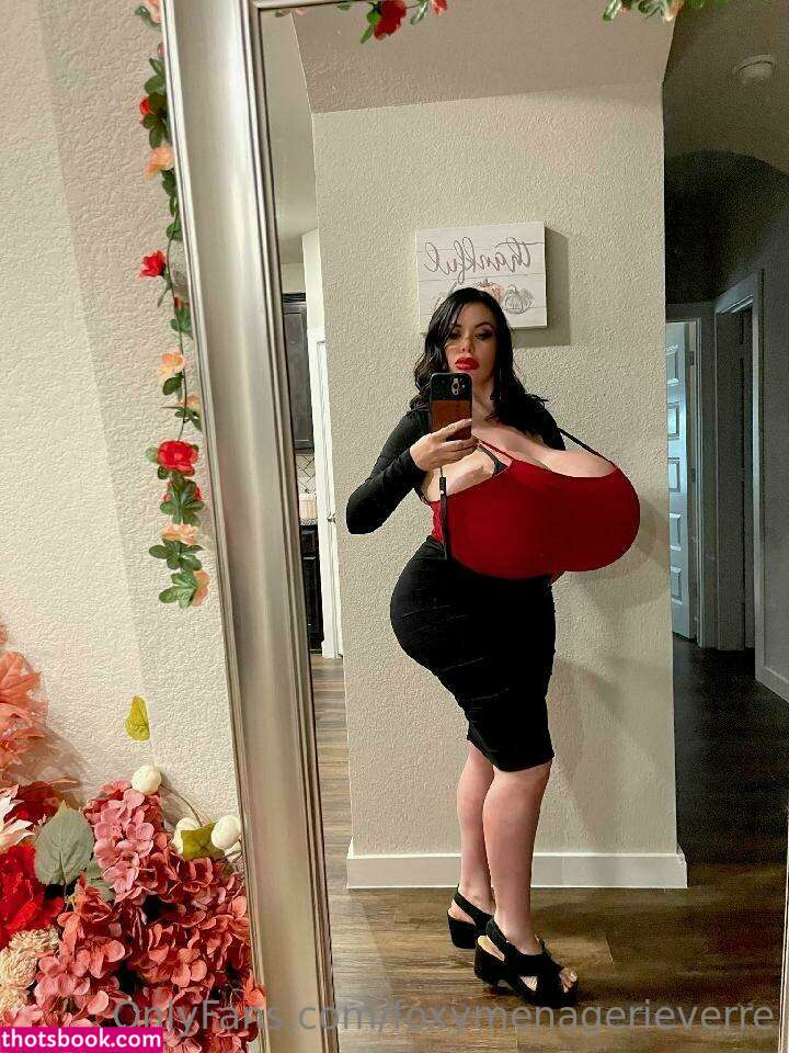 Foxy Menagerie Verre Photo #17