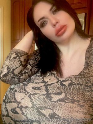 Foxy Menagerie Verre Photo #24