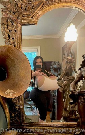 Foxy Menagerie Verre Photo #38