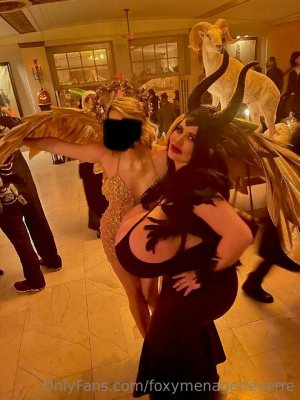 Foxy Menagerie Verre Photo #44