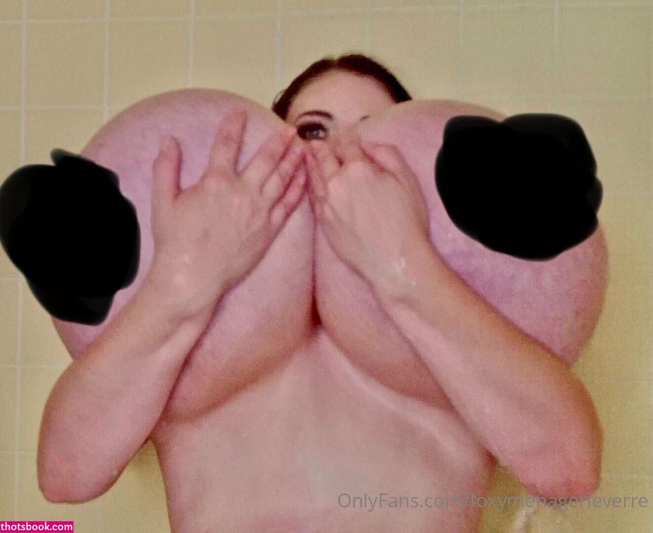 Foxy Menagerie Verre Photo #67