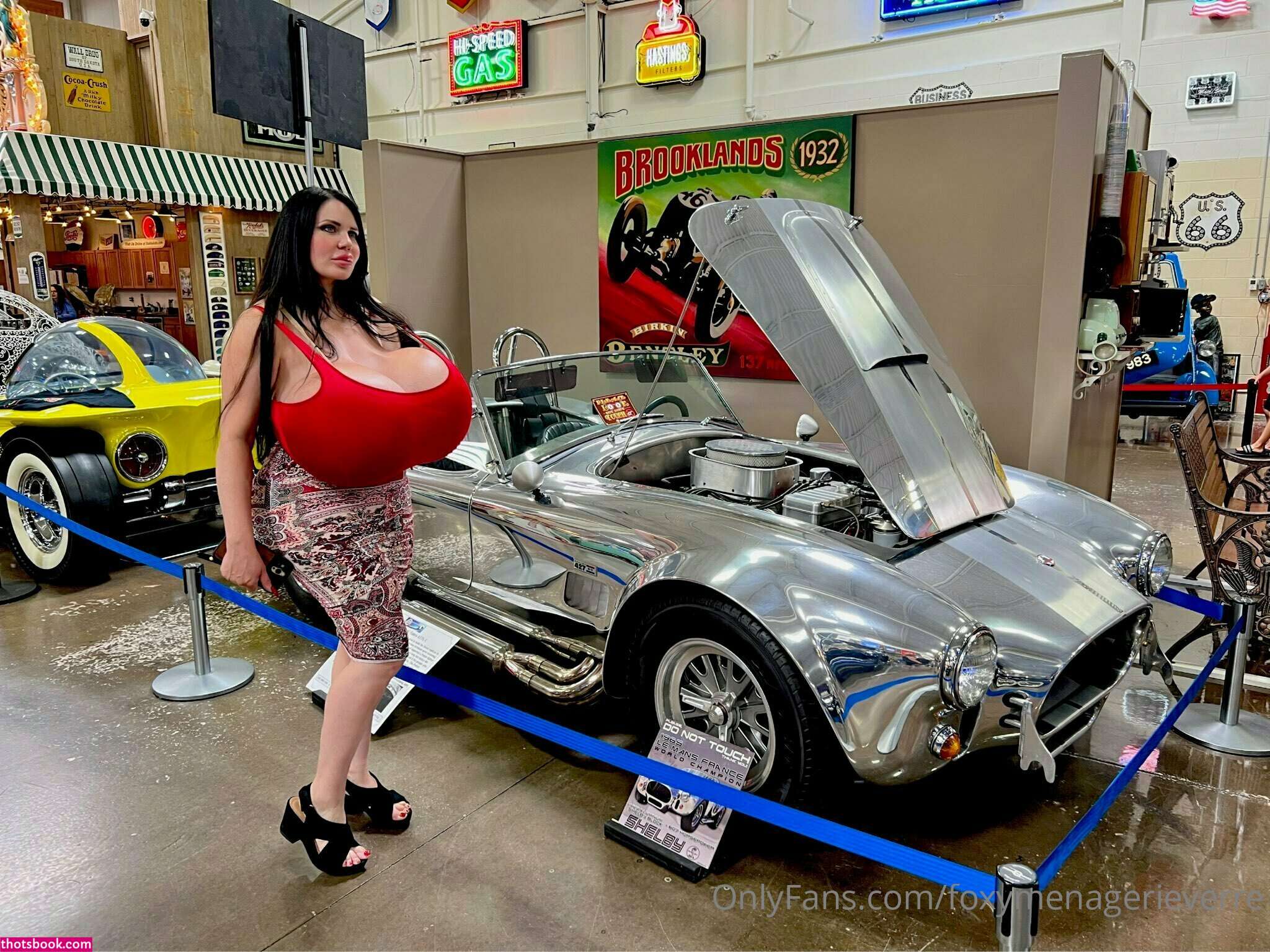 Foxy Menagerie Verre Photo #68