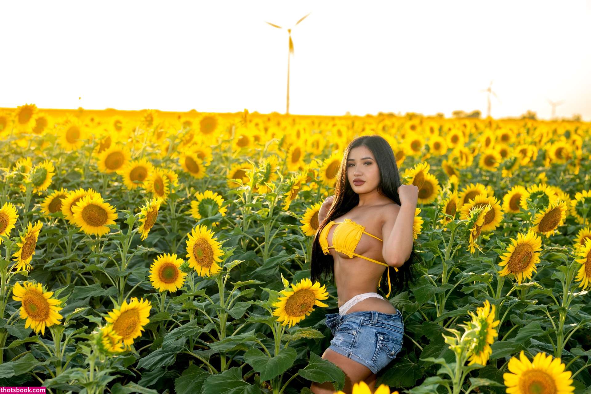 Americabarr Photo #2