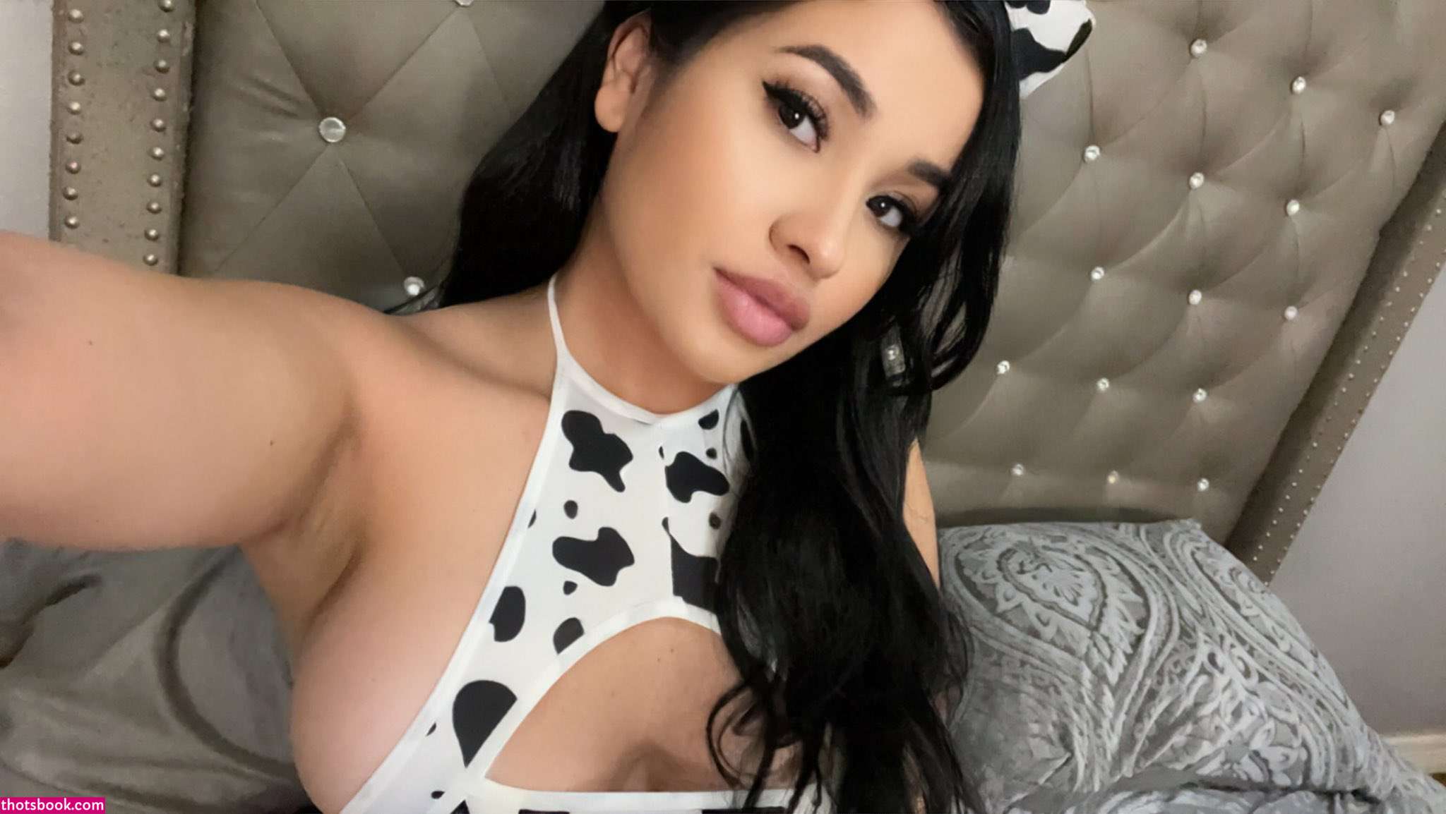 Americabarr Photo #3