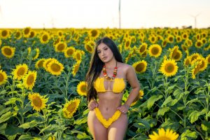 Americabarr Photo #1