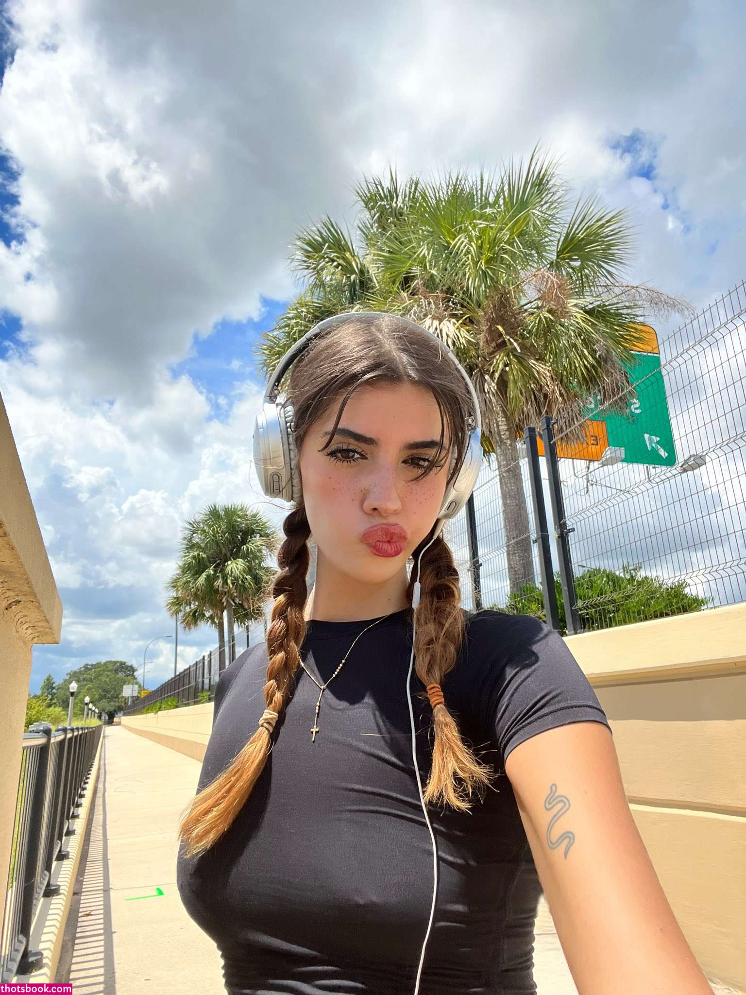 Whoreonica Photo #106