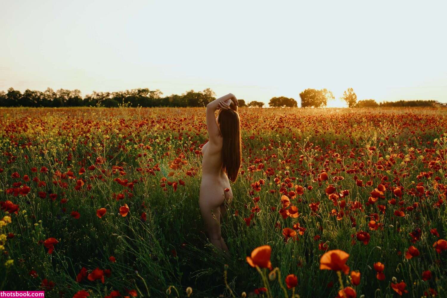 Nemmyhorin Photo #52