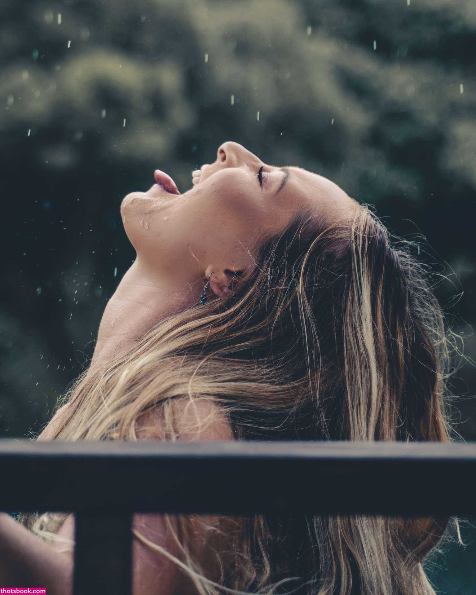 Rachaeljanea Photo #2