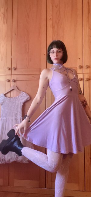 Arils Chest Photo #87