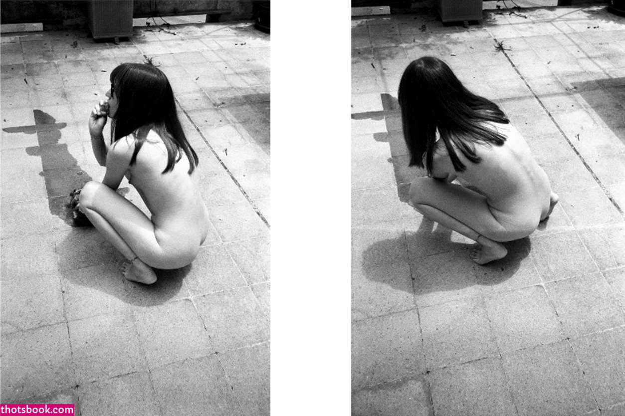 Arils Chest Photo #94