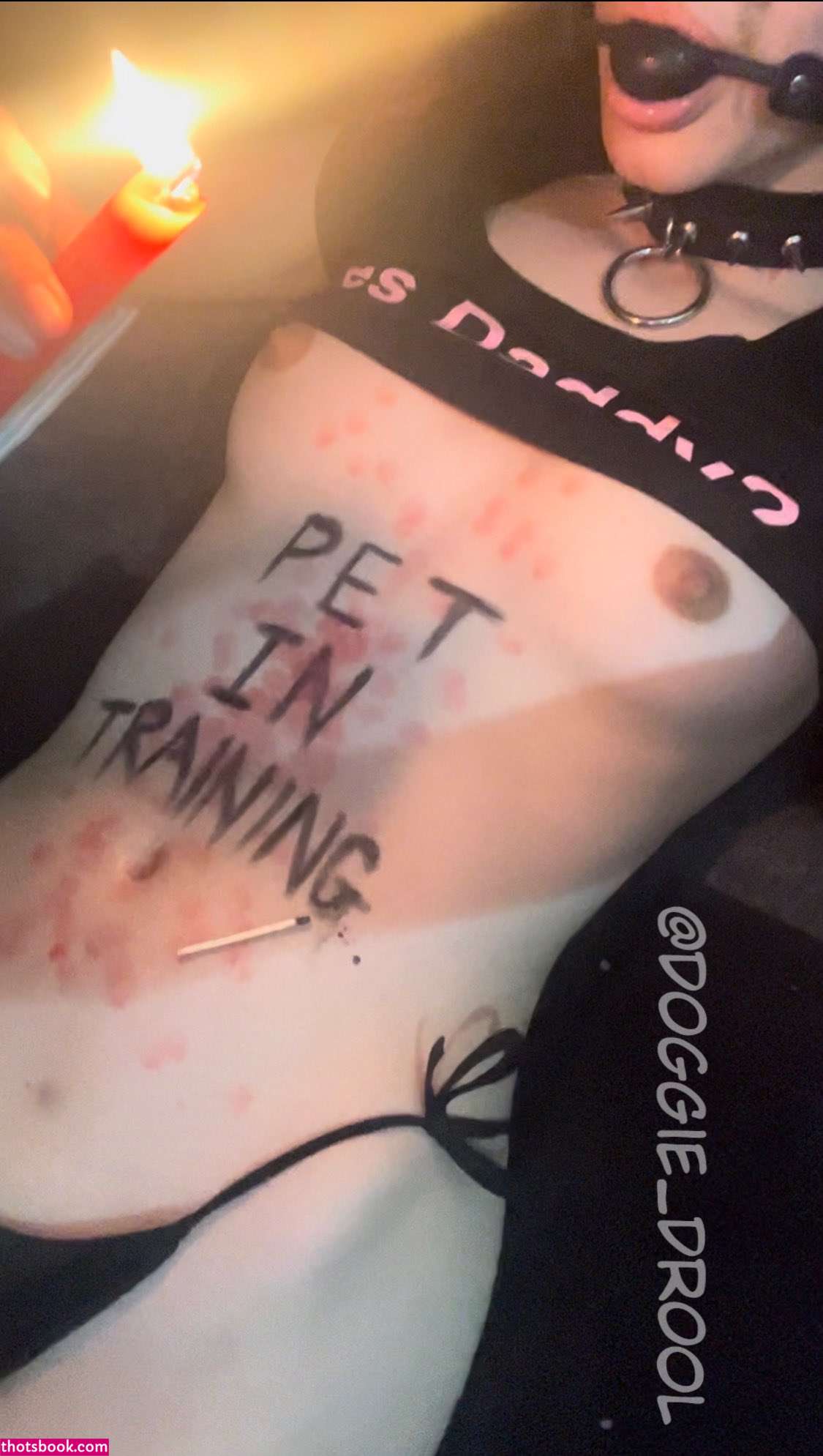 Doggiedrool Photo #18