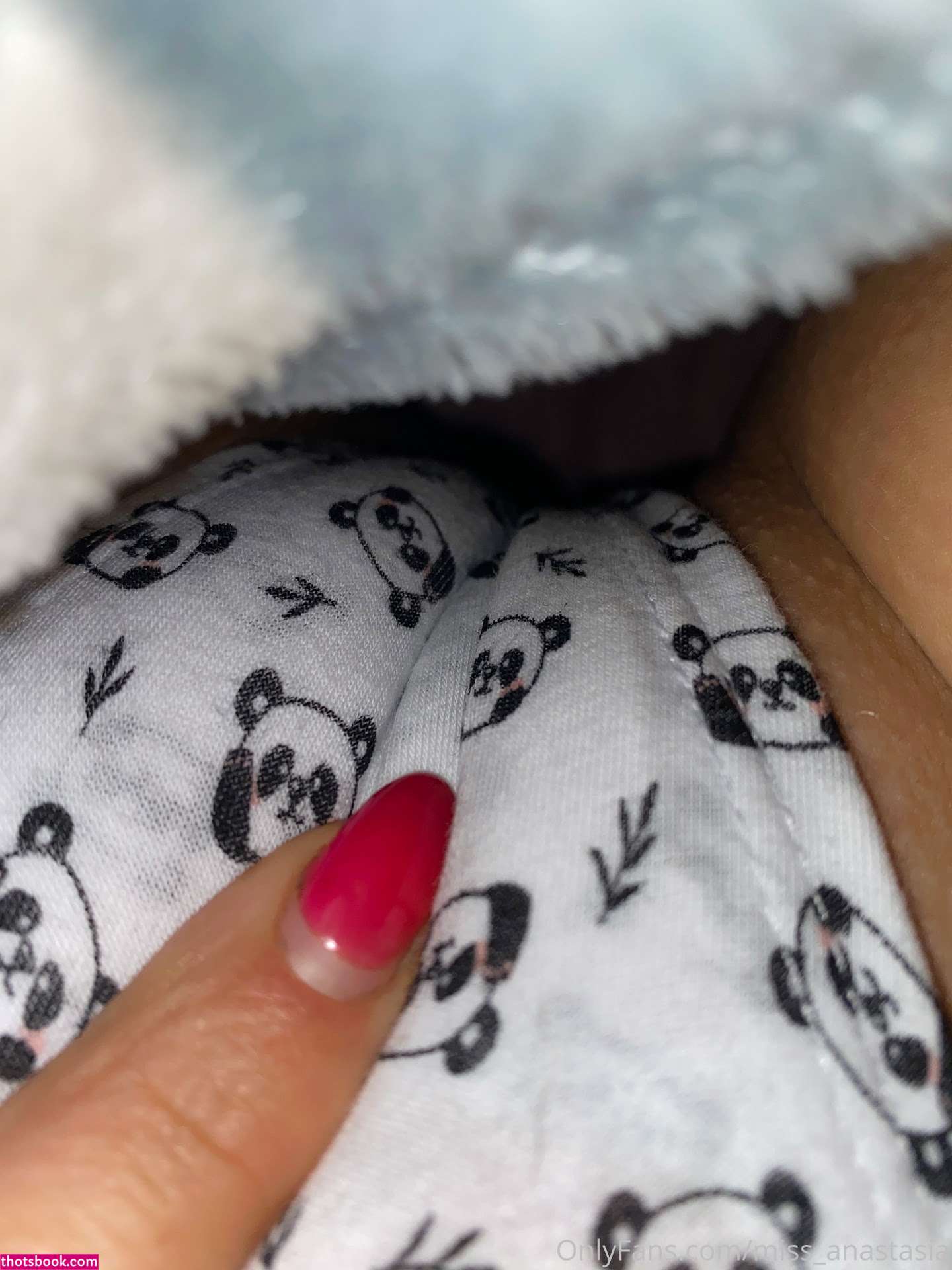 Miss Anastasia Photo #130