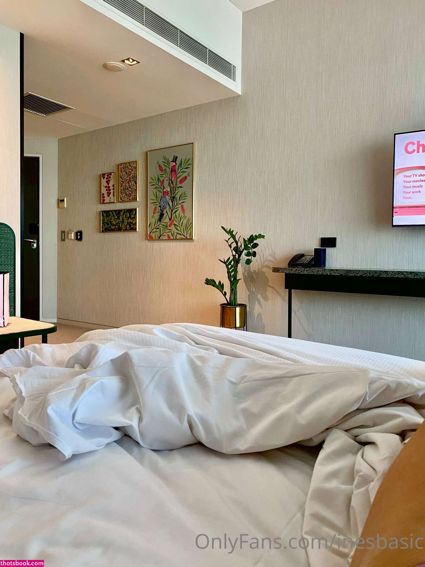 Ines Basic MaFS Photo #13