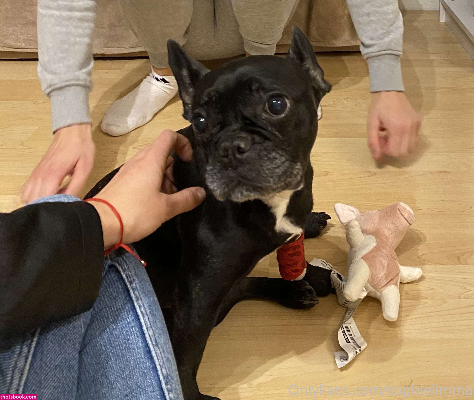 Sophie Limma Photo #9