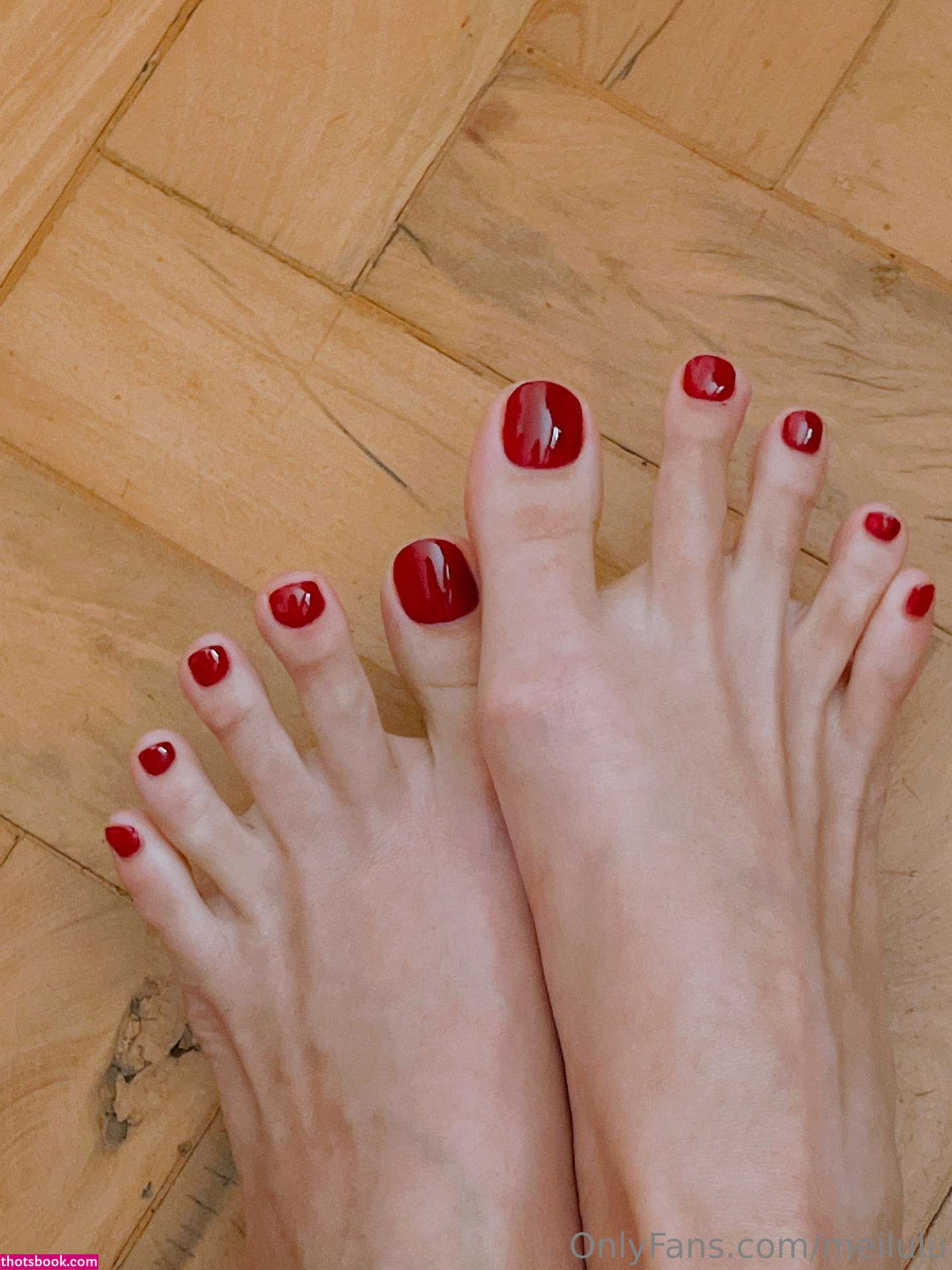 Dentelle Noir Photo #103