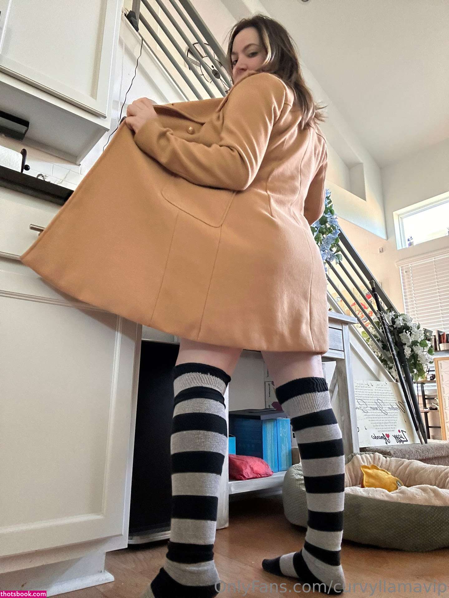 Curvyllama Photo #18