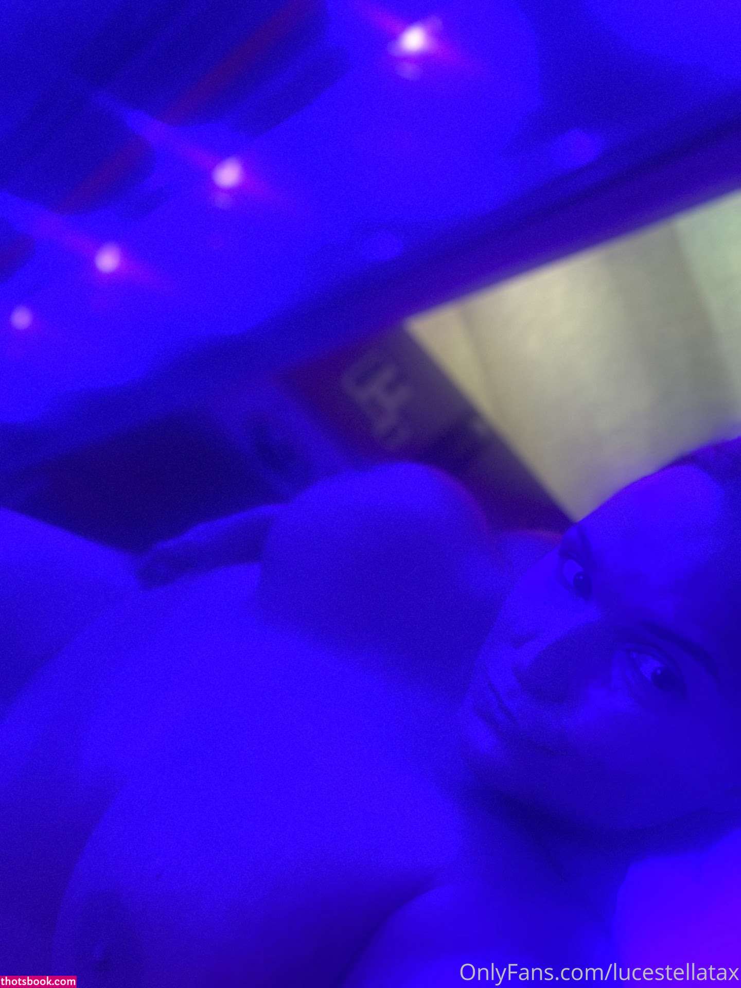 lucestellata Photo #76