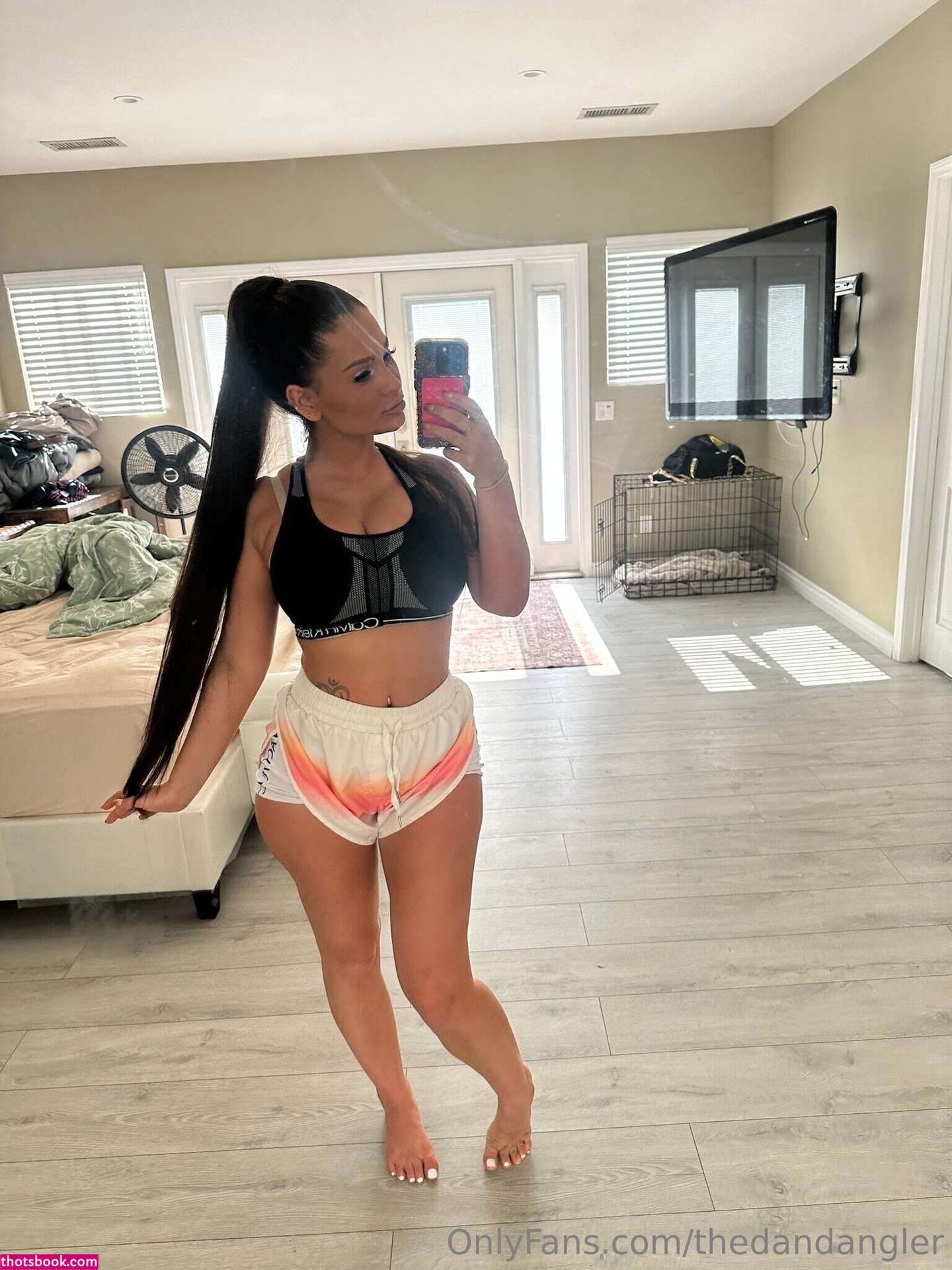 Thedandangler Photo #260