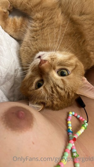 Gritypster Photo #18