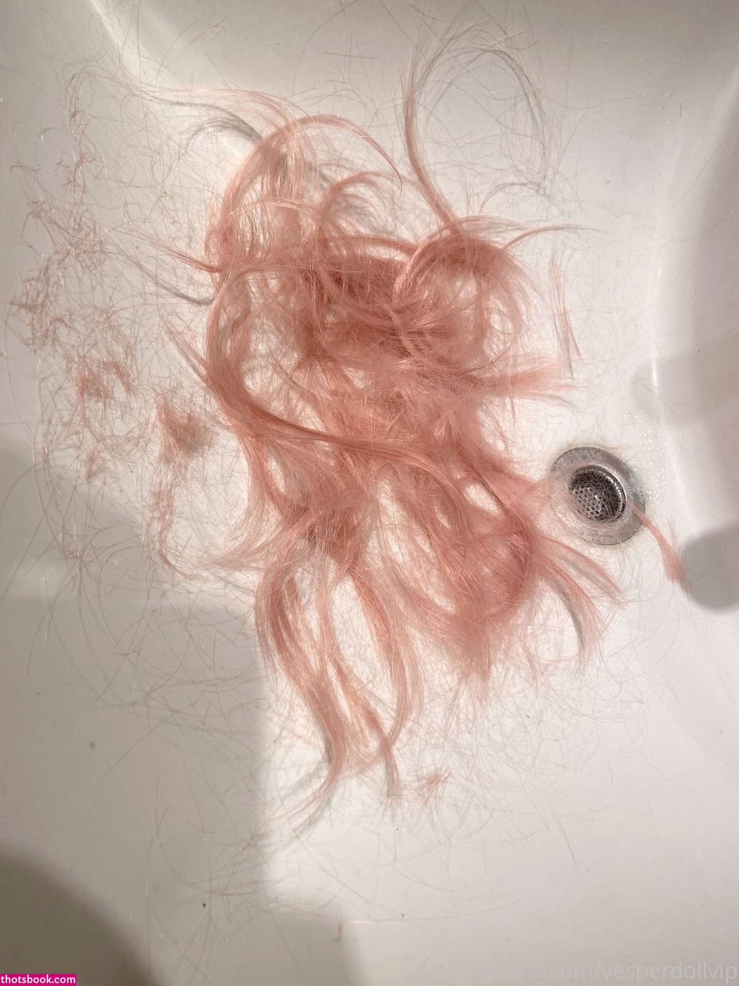 vespertheginger Photo #234