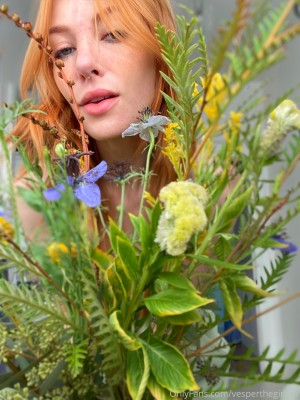 vespertheginger Photo #339