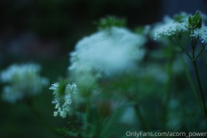 Claire Moulin Photo #189